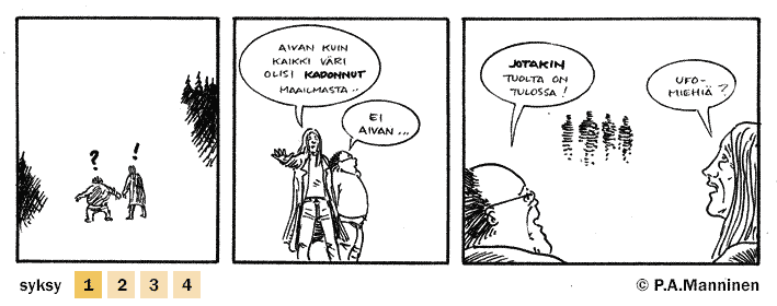 &copy; P.A. Manninen 2006